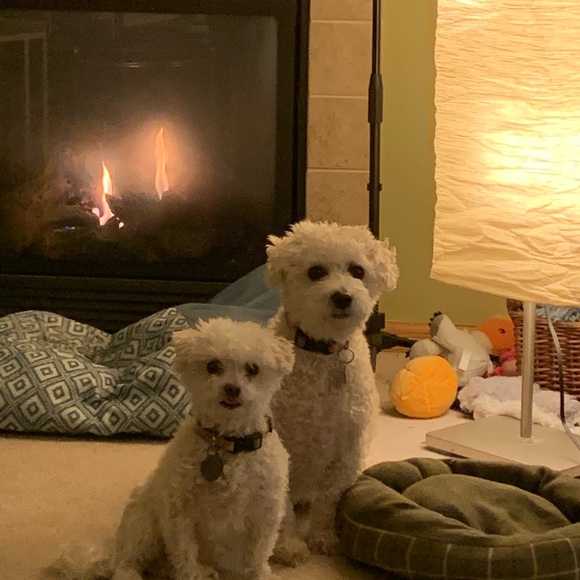 Meet your Posher, Sara - Picture 1 of 1